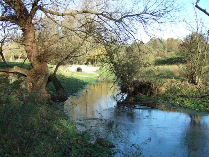 Photograph of Elmswell Beck, Yorkshire Wolds