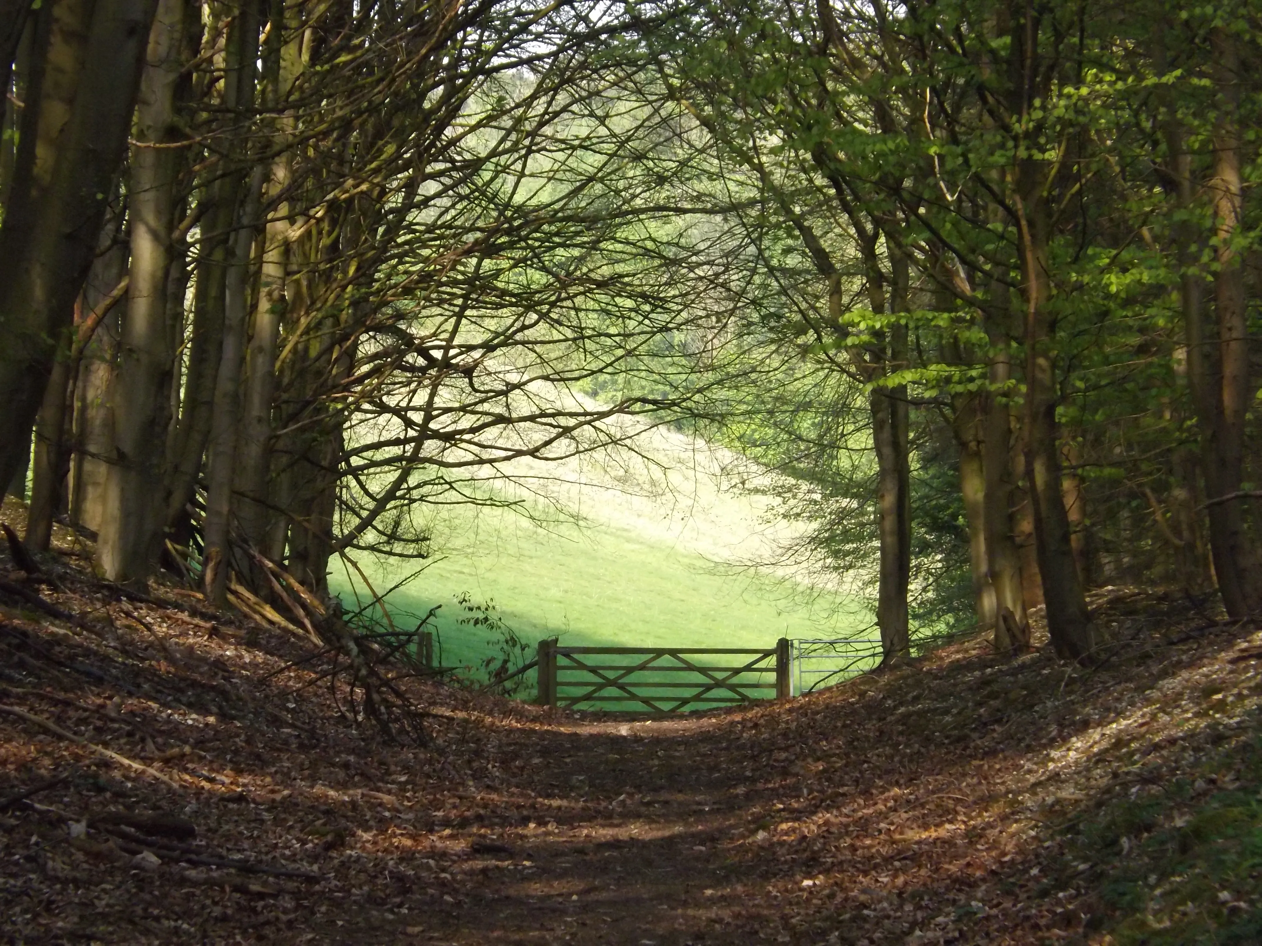 Photograph of Frendal Dale, Yorkshire Wolds