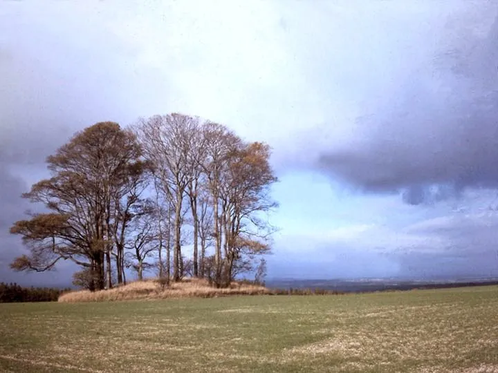 Photograph of Garrowby Hill Tumuli, Yorkshire Wolds